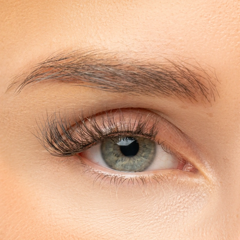 26464-52-55-398-invogue-perfect-fit-lash-wispy-dreams-oe.jpg.webp