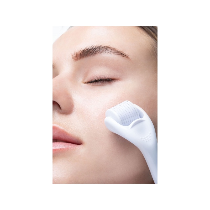 25463-52_56_354_brushworks_micro_needle_derma_roller_ms__1_.jpg