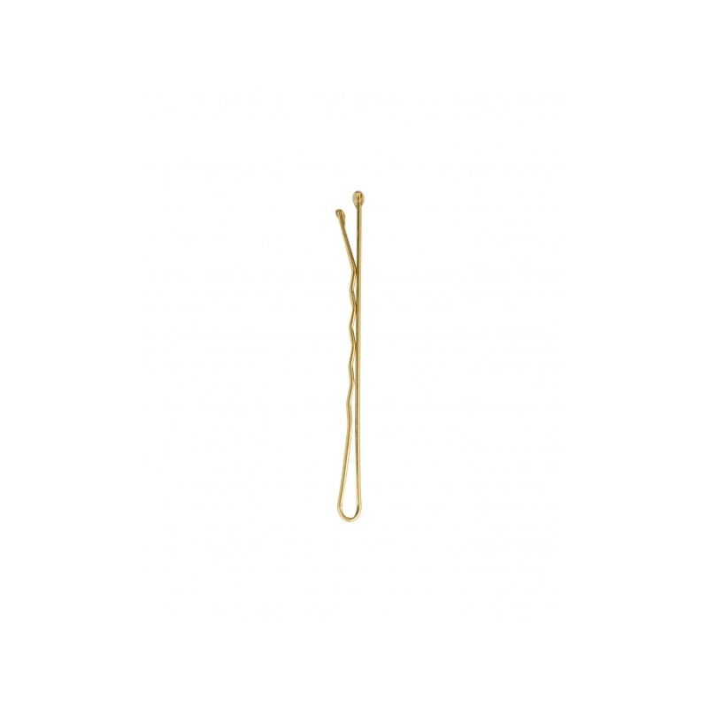 25472-52_56_496_brushworks_blonde_bobby_pins_oop__1_.jpg