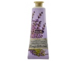 Pielor Breeze Collection Hand & Nail Cream Lavender 30ml