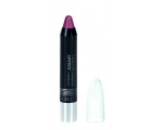 AFFECT Twist up Colour Lipstick Matt and Care Matt Huulepulk Classic