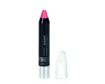 AFFECT Twist up Colour Lipstick Matt and Care Papaya