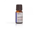 Nurme Essential Oil Lavender 10ml