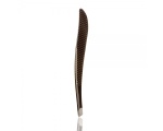 Basicare Tweezers Slant Tips Black