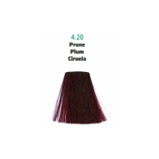 Generik Hair Color Plum 4.20 40 ml