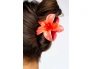 27555-52-56-609-brushworks-bright-flower-claw-clips-ms-3.jpg.webp