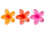 27555-52-56-609-brushworks-bright-flower-claw-clips-oop.jpg.webp