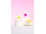 27557-52-56-589-brushworks-tropical-flower-claw-clips-oop-2-.jpg.webp