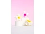 27557-52-56-589-brushworks-tropical-flower-claw-clips-oop-2.jpg.webp
