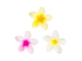 27557-52-56-589-brushworks-tropical-flower-claw-clips-oop-4.jpg.webp