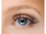 27747-52-55-413-invogue-cluster-lashes-light-wisp-style-1-.jpg.webp