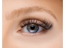 27748-52-55-414-invogue-cluster-lashes-soft-glam-style-1-.jpg.webp