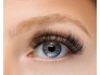 27749-52-55-415-invogue-cluster-lashes-mega-volume-style-1-.jpg.webp