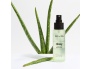 24583-aloe7.jpg