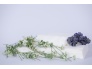 25002-zp_1520-_zp_2030-_zp_3040__4_.jpg