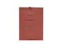 25333-ah0378ast_aroma_home_fragrance_sachets_energise_cmyk_300dpi_1.jpg