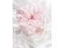 25678-25_12_183_brushworks_satin_dreams_duo_oop__2_.jpg