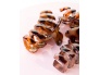 25920-52_56_549_brushworks_tortoiseshell_claw_clips_-_3_pack_oop__3_.jpg